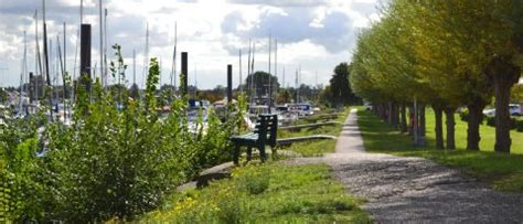 Wie is Hermus Watersport in Roermond .